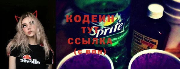 хмурый Вяземский
