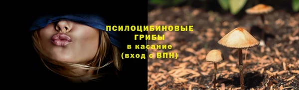 хмурый Вяземский