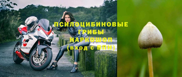 хмурый Вяземский