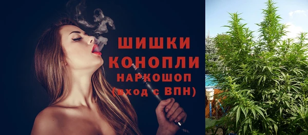 хмурый Вяземский