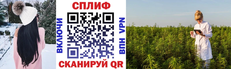 МАРИХУАНА Ganja  Брянск 